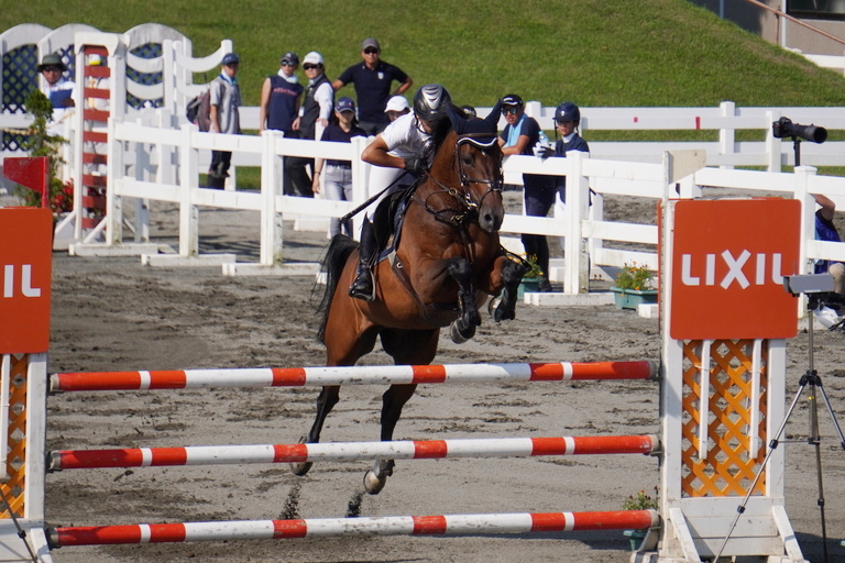 全日本障害馬術大会19 Part 中障害飛越競技c Dの出場資格獲得馬および人馬発表 Showjumping Journal