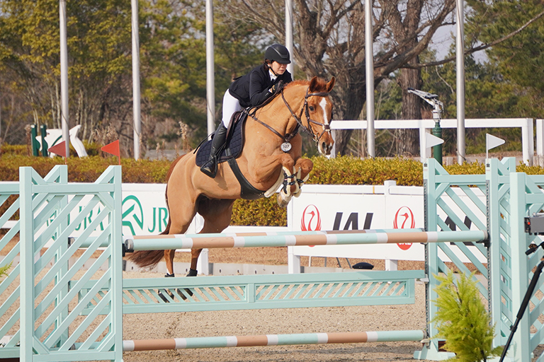 オンライン限定商品】 乗馬 馬術 鞍 障害馬術競技 - その他